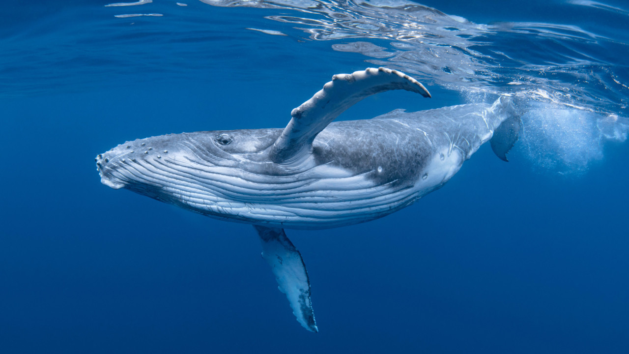 haber-gorseli-1787468729627